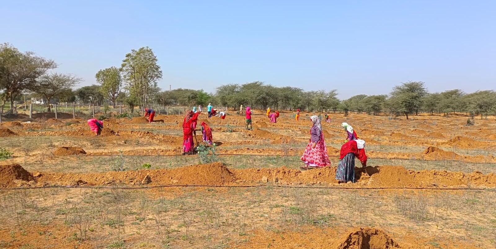 Vision of dignity and opportunity for all